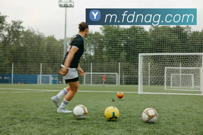 App Interface Preview